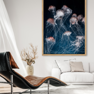 Here we god Jellyfish - en levende plakat i blå og pink med flere vandmænd i gruppe