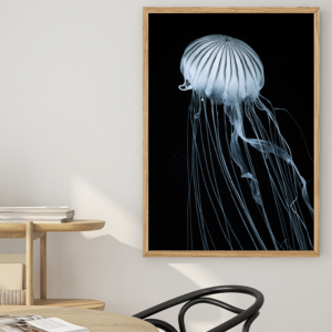 I'm blue Jellyfish - en solitær vandmand på vej mod overfladen i mørkt vand